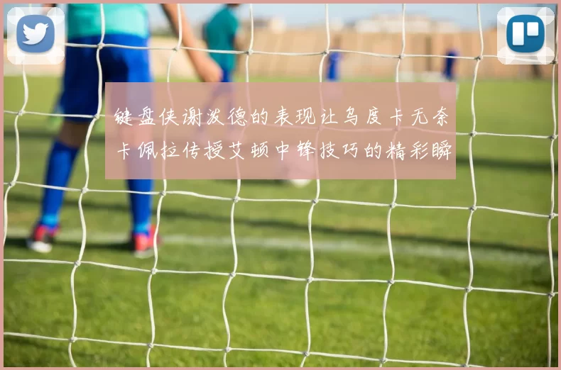 键盘侠谢泼德的表现让乌度卡无奈卡佩拉传授艾顿中锋技巧的精彩瞬间