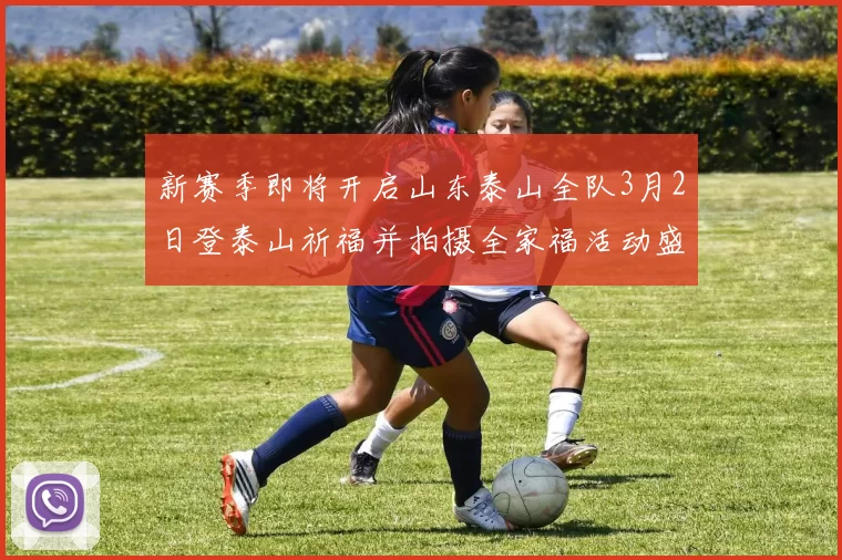 新赛季即将开启山东泰山全队3月2日登泰山祈福并拍摄全家福活动盛大举行